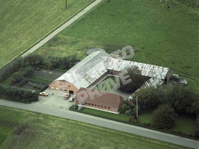 Frøstrup Plantage 1984