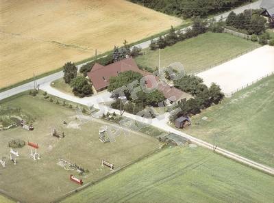 Ærtebjerg 1994